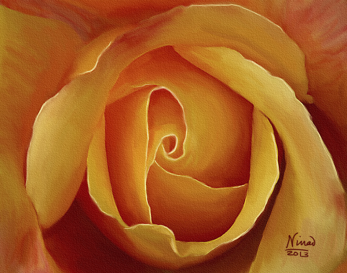 Fire rose final tex